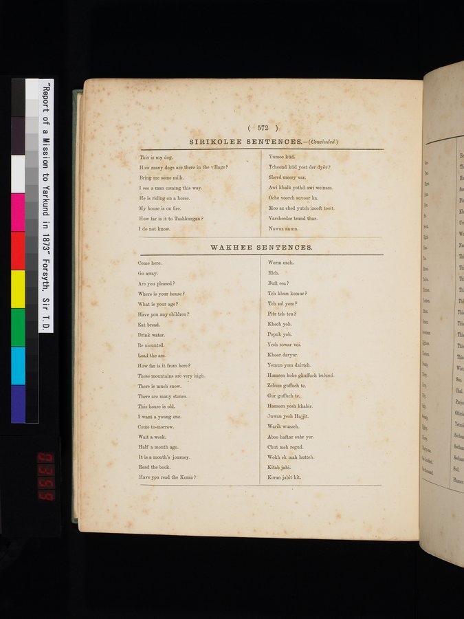 Report of a Mission to Yarkund in 1873 : vol.1 / Page 706 (Color Image)