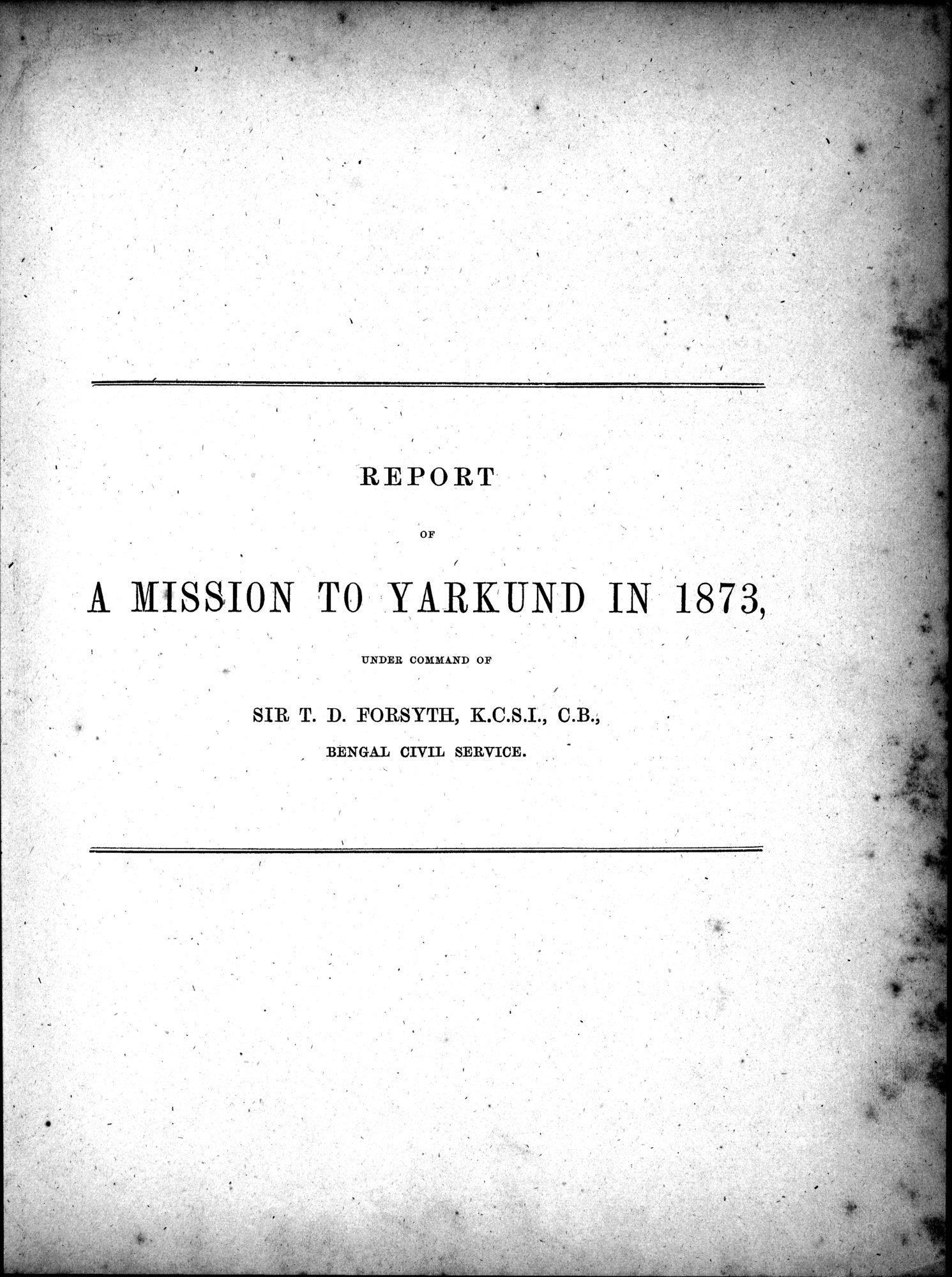 Report of a Mission to Yarkund in 1873 : vol.1 / 19 ページ（白黒高解像度画像）