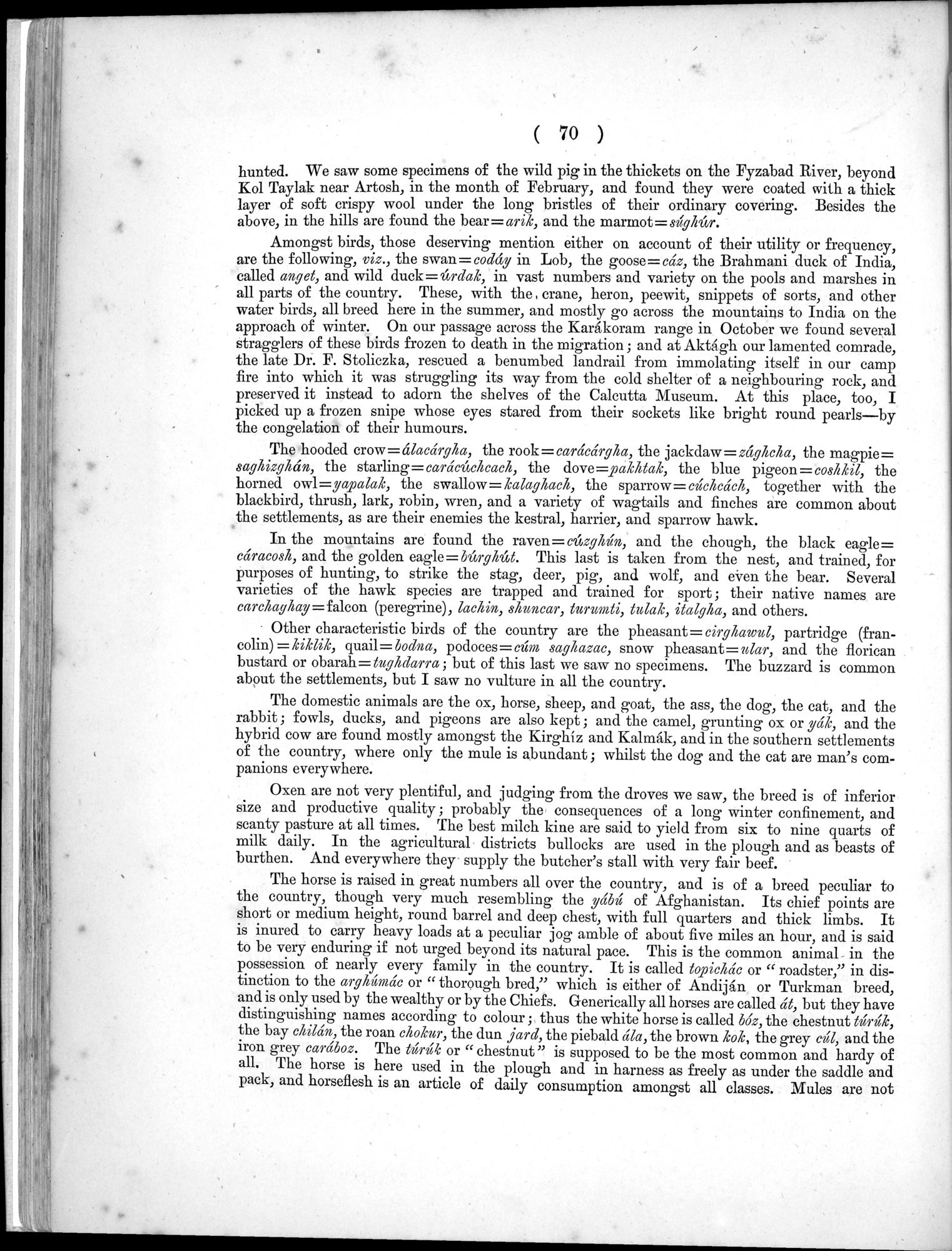 Report of a Mission to Yarkund in 1873 : vol.1 / Page 114 (Grayscale High Resolution Image)