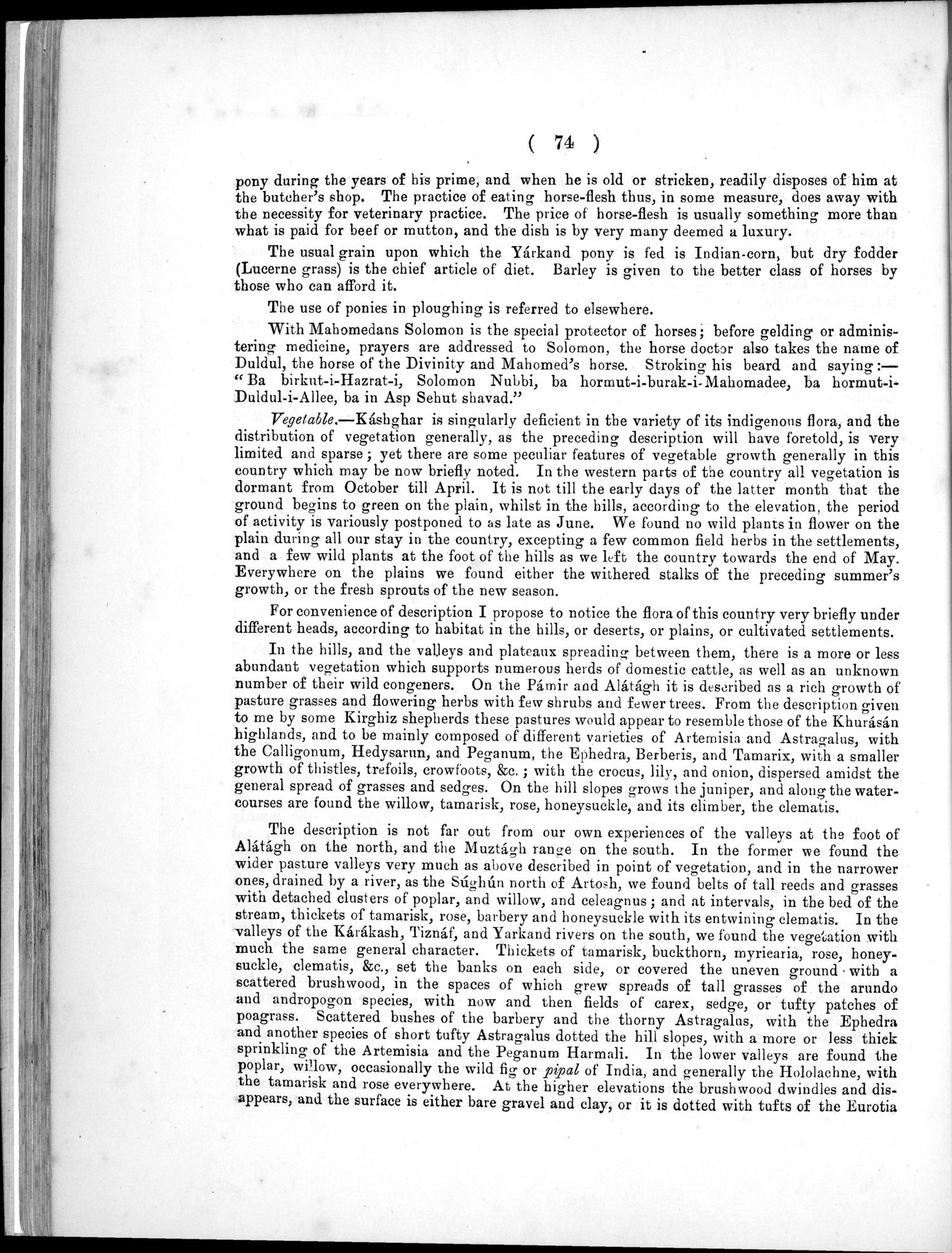 Report of a Mission to Yarkund in 1873 : vol.1 / Page 120 (Grayscale High Resolution Image)