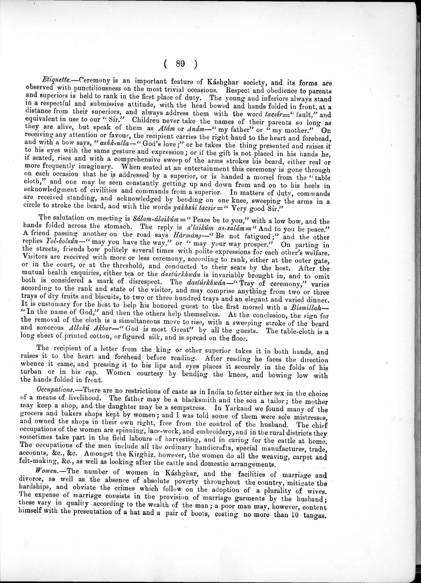Report of a Mission to Yarkund in 1873 : vol.1 / Page 141 (Grayscale High Resolution Image)