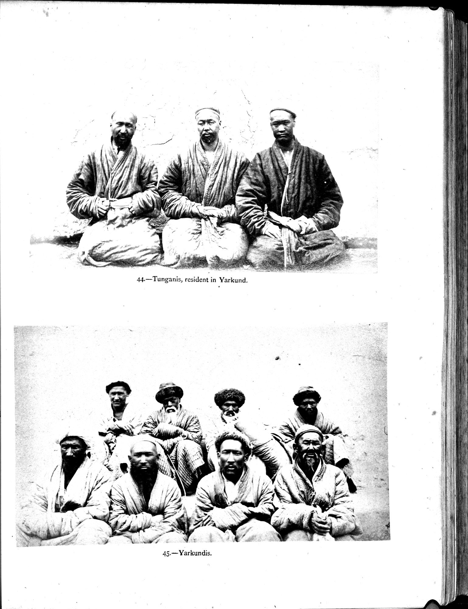 Report of a Mission to Yarkund in 1873 : vol.1 / 201 ページ（白黒高解像度画像）
