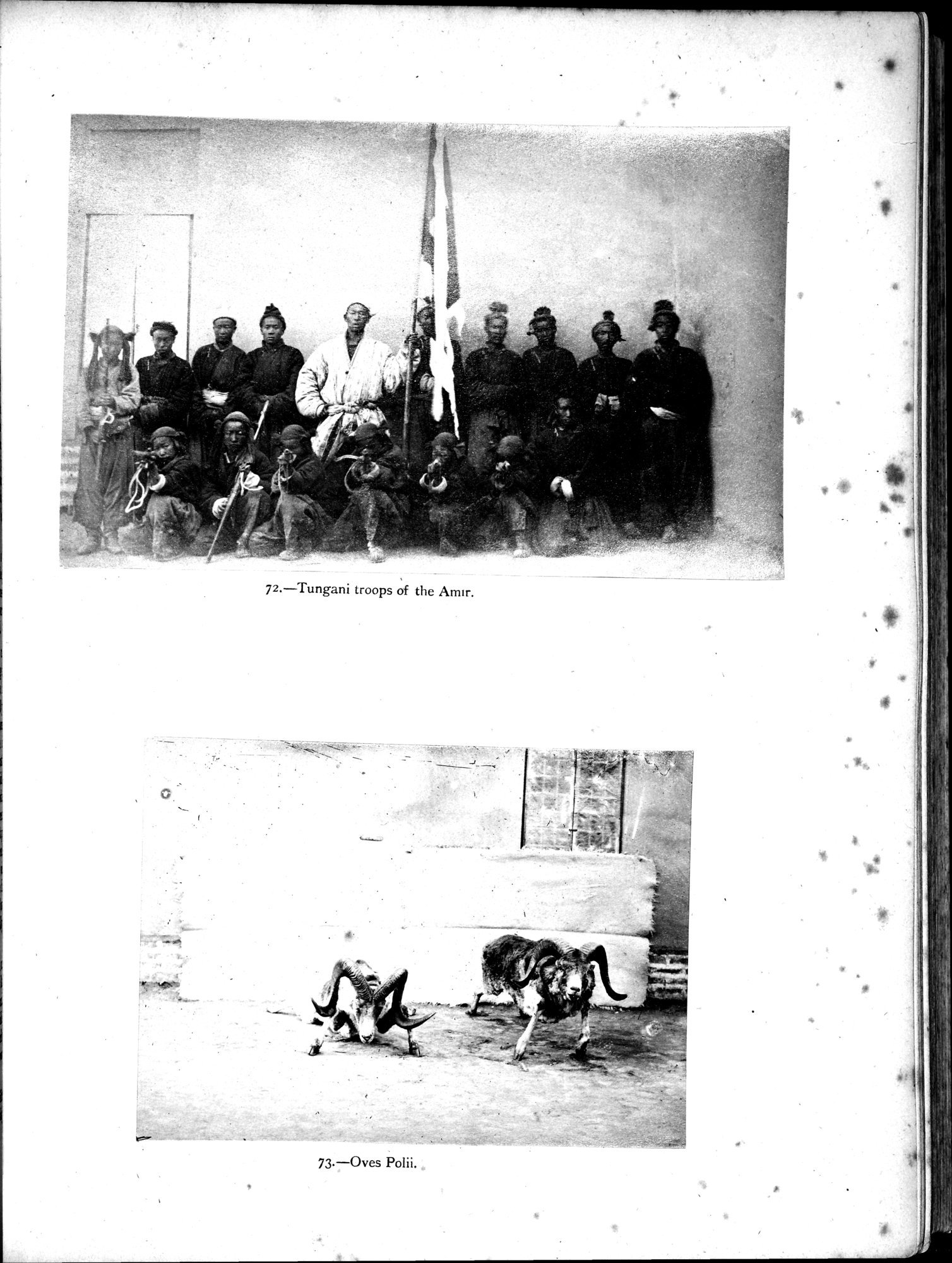 Report of a Mission to Yarkund in 1873 : vol.1 / Page 313 (Grayscale High Resolution Image)