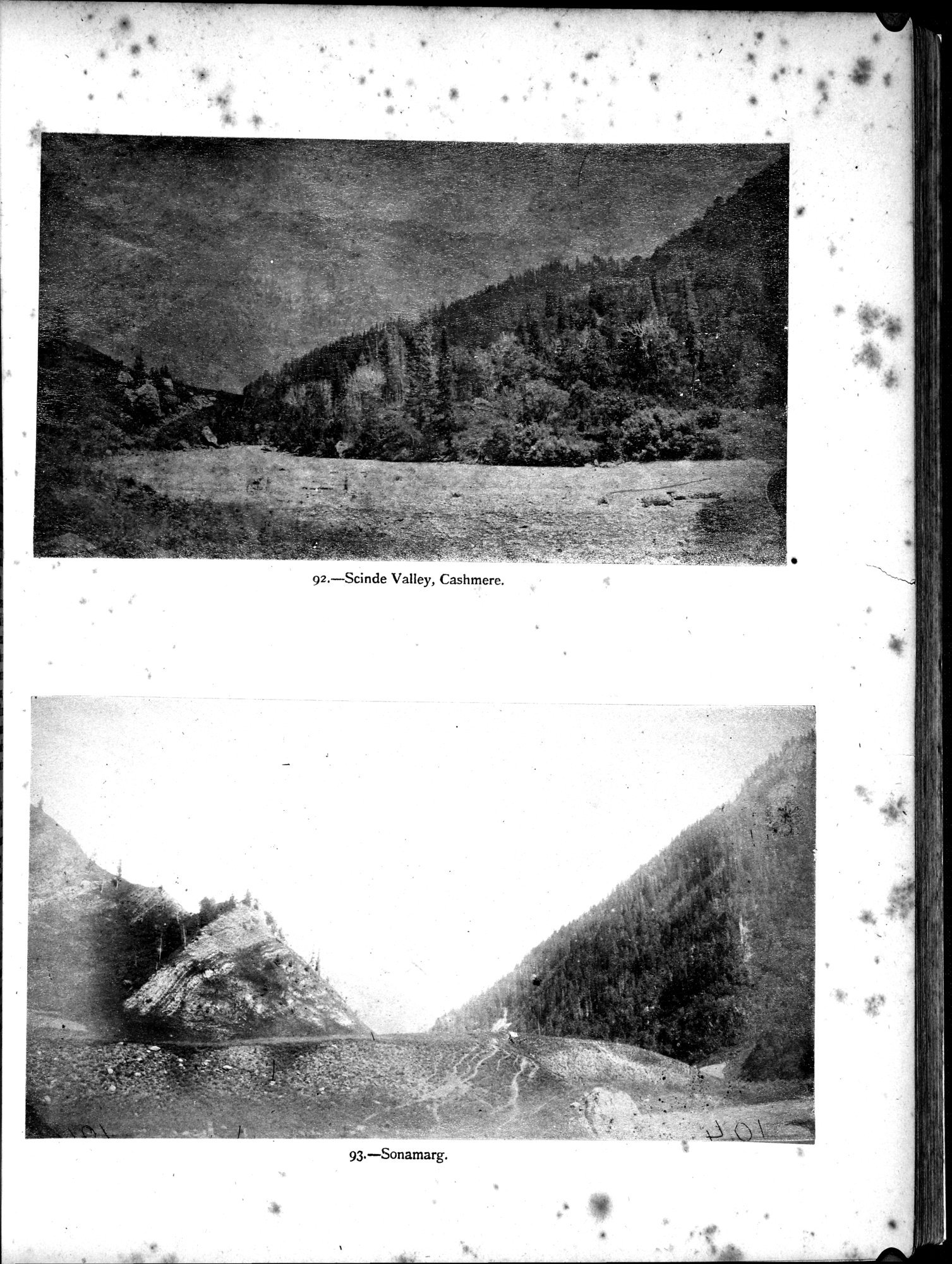 Report of a Mission to Yarkund in 1873 : vol.1 / 397 ページ（白黒高解像度画像）