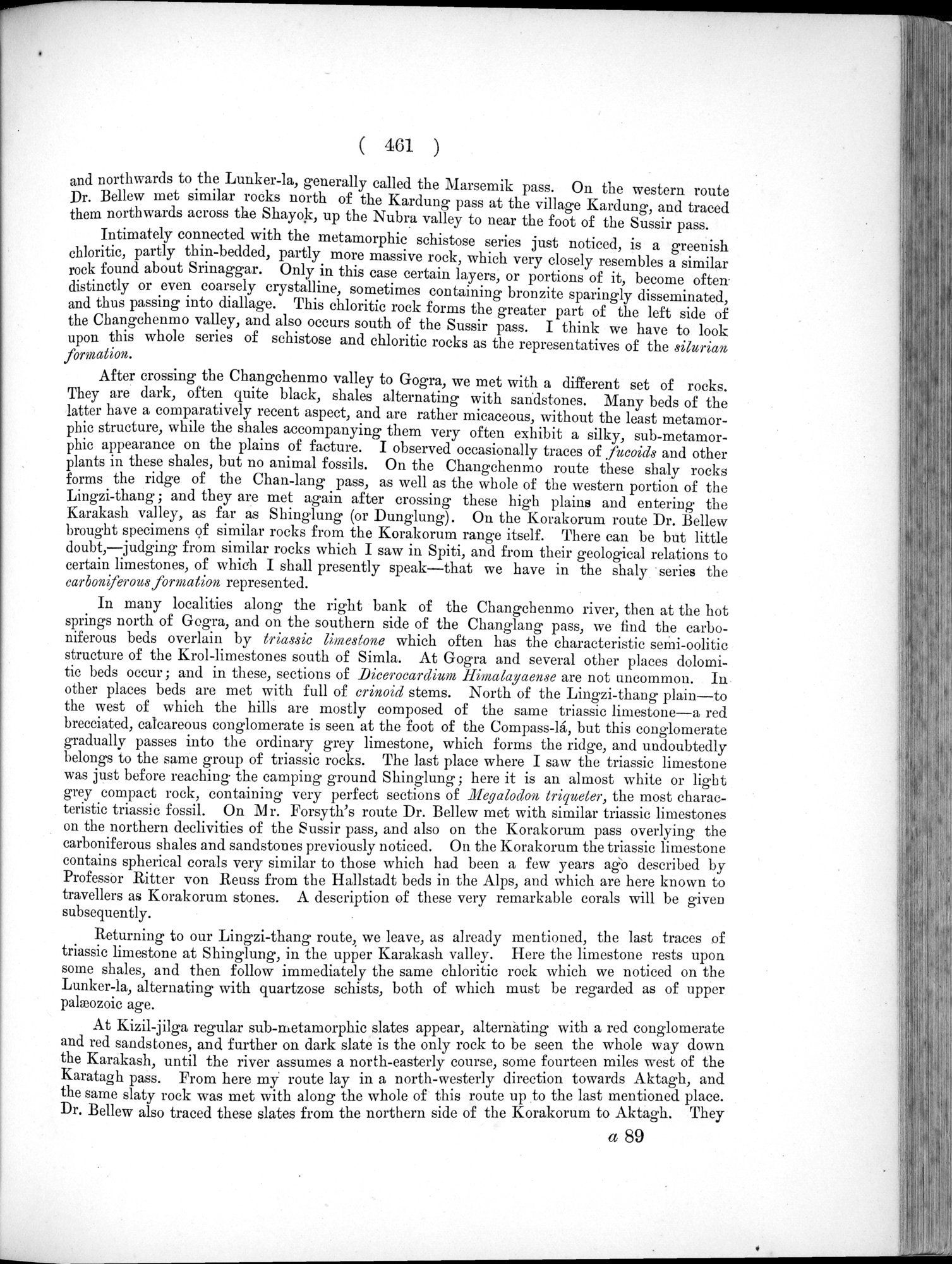 Report of a Mission to Yarkund in 1873 : vol.1 / Page 595 (Grayscale High Resolution Image)