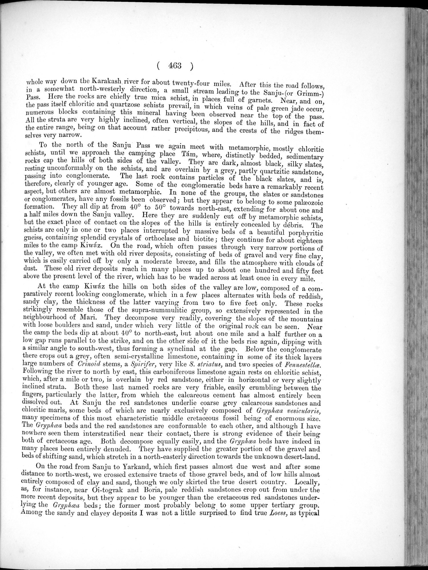 Report of a Mission to Yarkund in 1873 : vol.1 / Page 597 (Grayscale High Resolution Image)