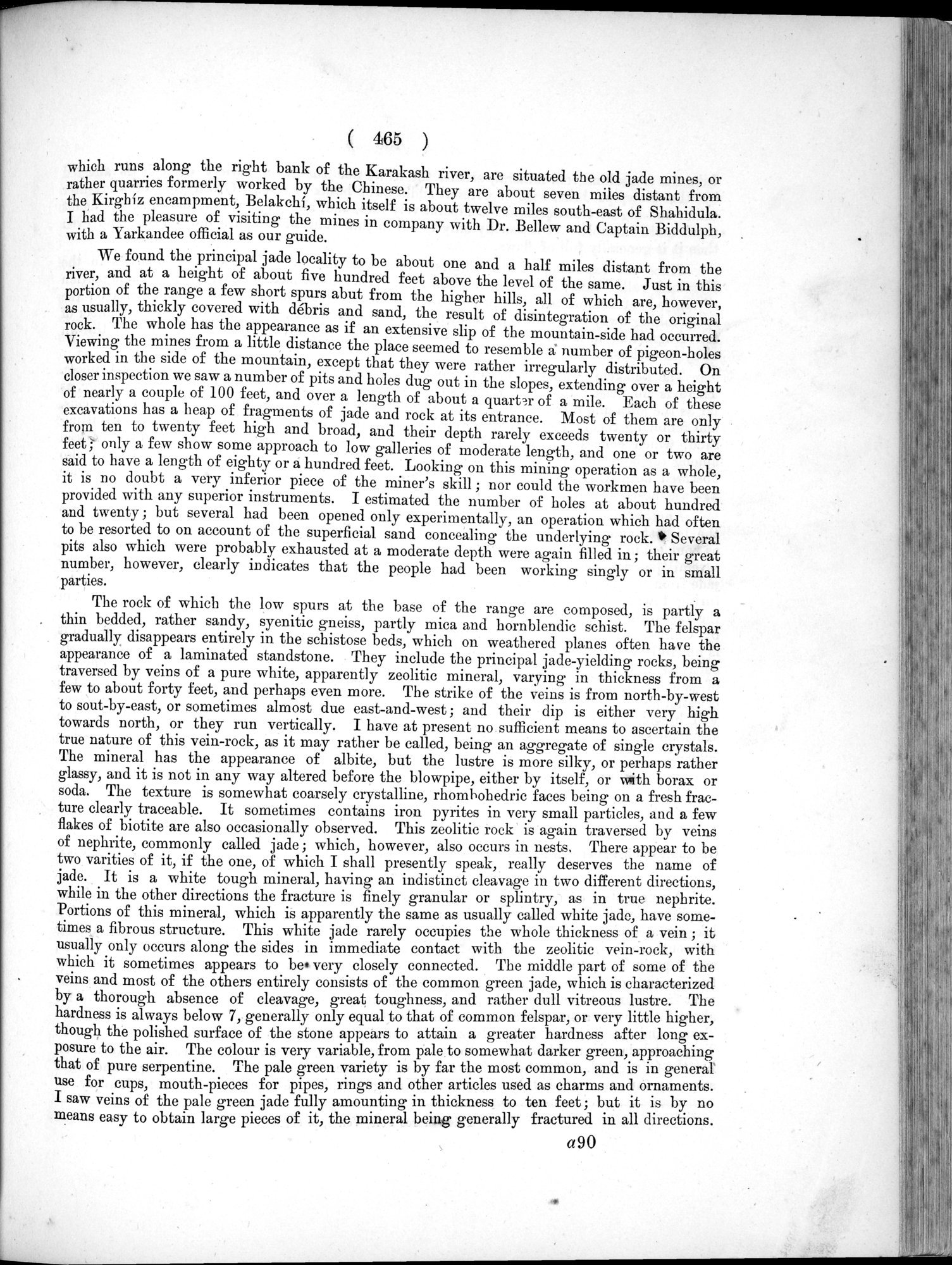 Report of a Mission to Yarkund in 1873 : vol.1 / Page 599 (Grayscale High Resolution Image)