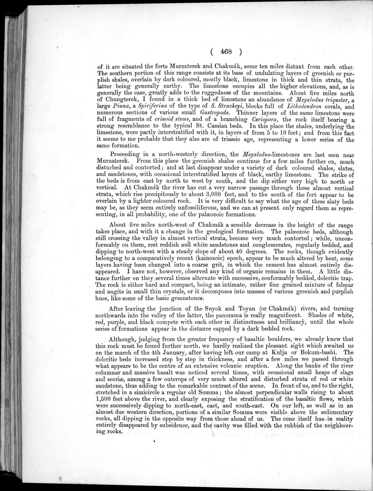 Report of a Mission to Yarkund in 1873 : vol.1 / Page 602 (Grayscale High Resolution Image)