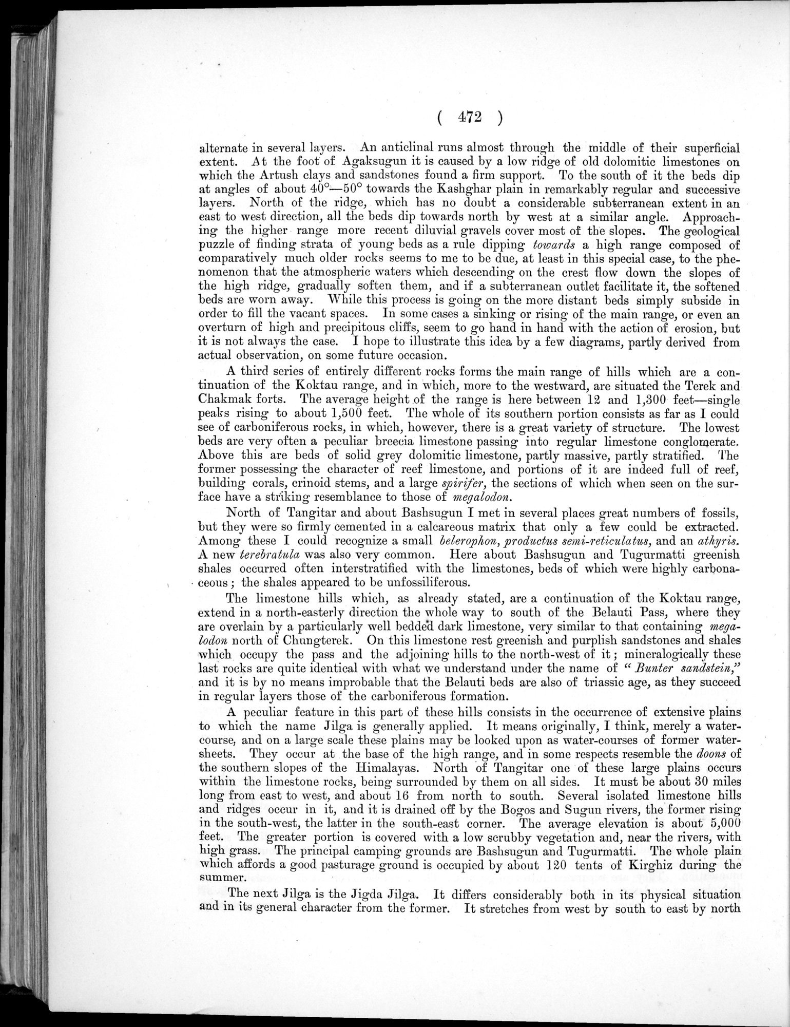 Report of a Mission to Yarkund in 1873 : vol.1 / Page 606 (Grayscale High Resolution Image)