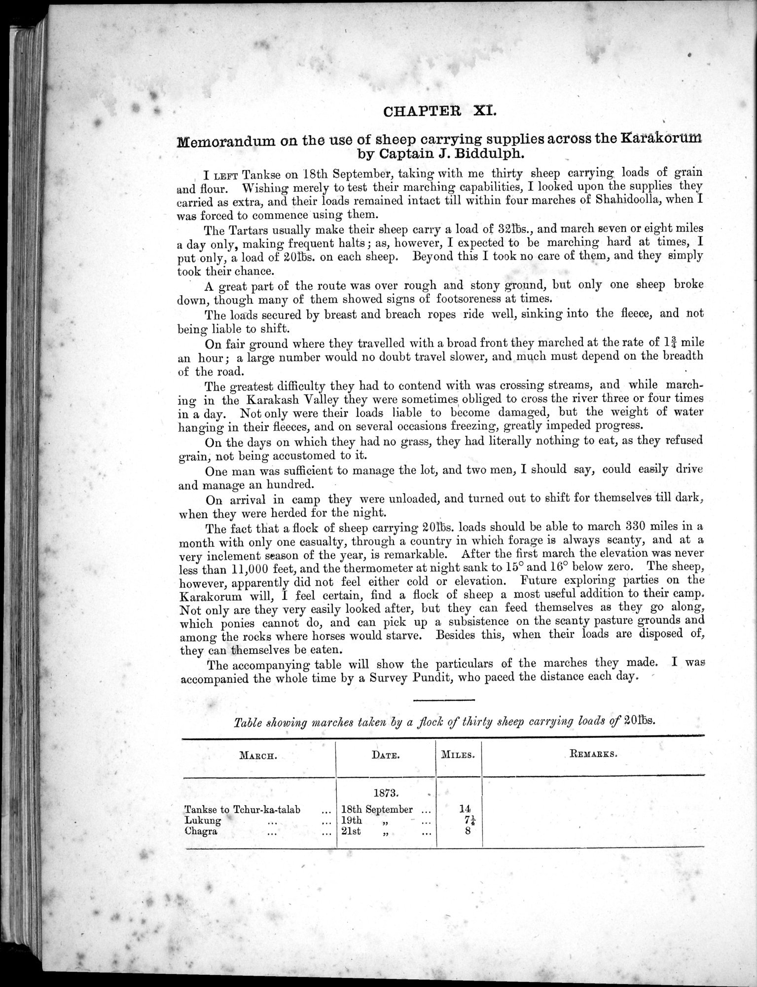 Report of a Mission to Yarkund in 1873 : vol.1 / Page 626 (Grayscale High Resolution Image)