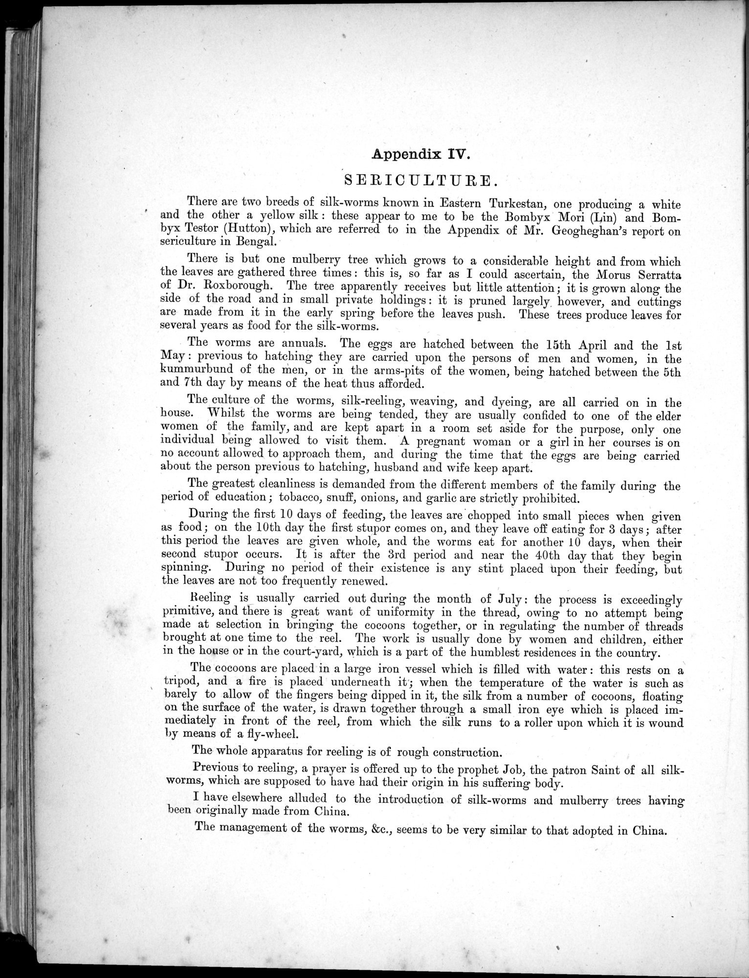 Report of a Mission to Yarkund in 1873 : vol.1 / Page 644 (Grayscale High Resolution Image)