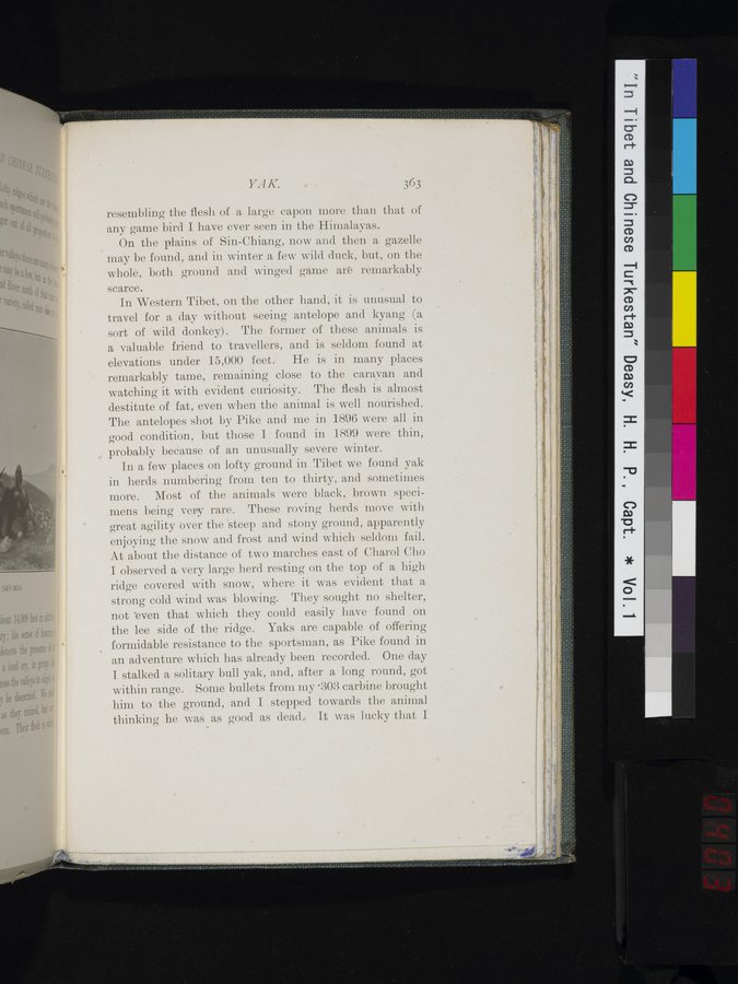 In Tibet and Chinese Turkestan : vol.1 / Page 403 (Color Image)
