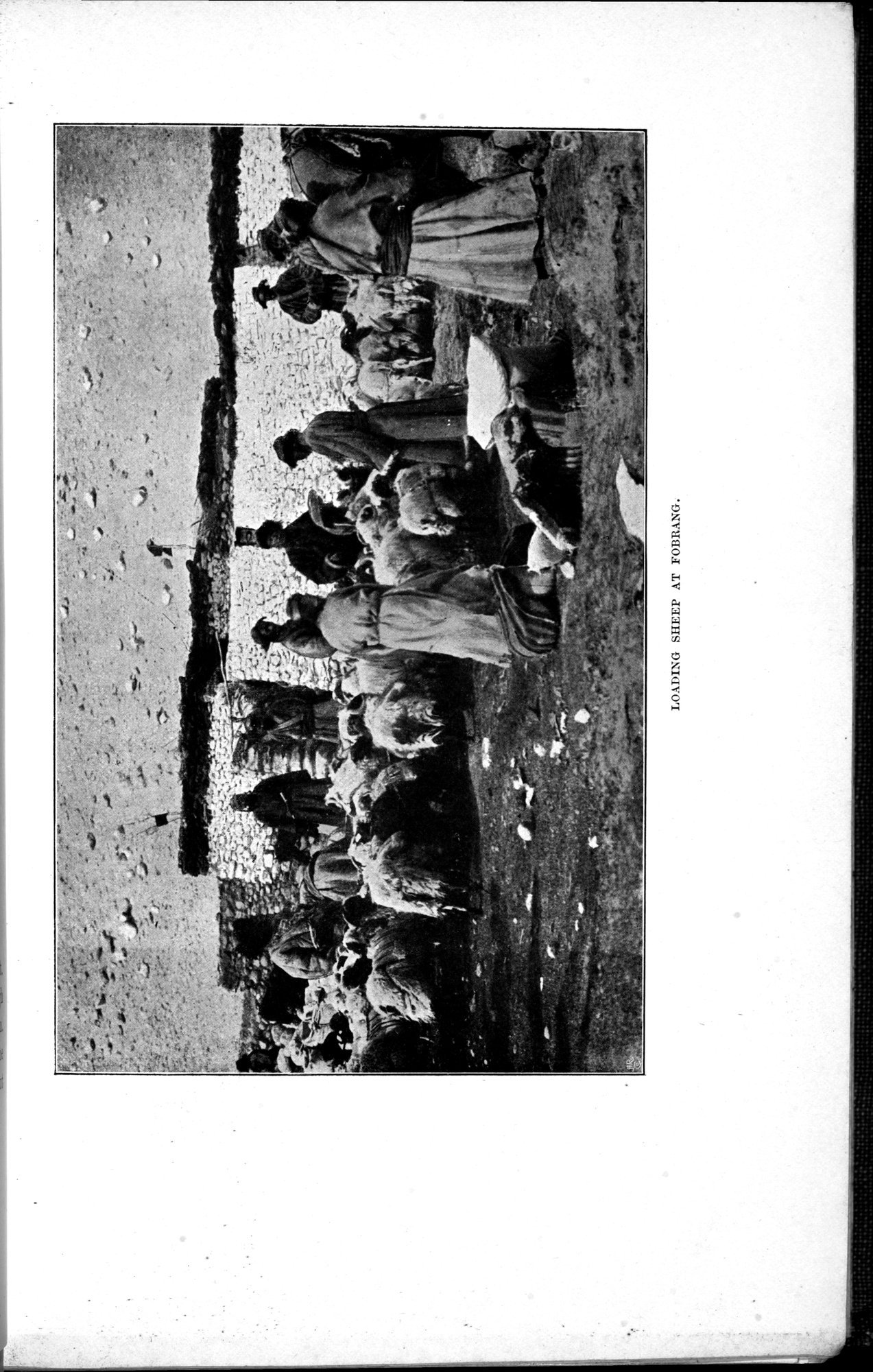 In Tibet and Chinese Turkestan : vol.1 / Page 41 (Grayscale High Resolution Image)
