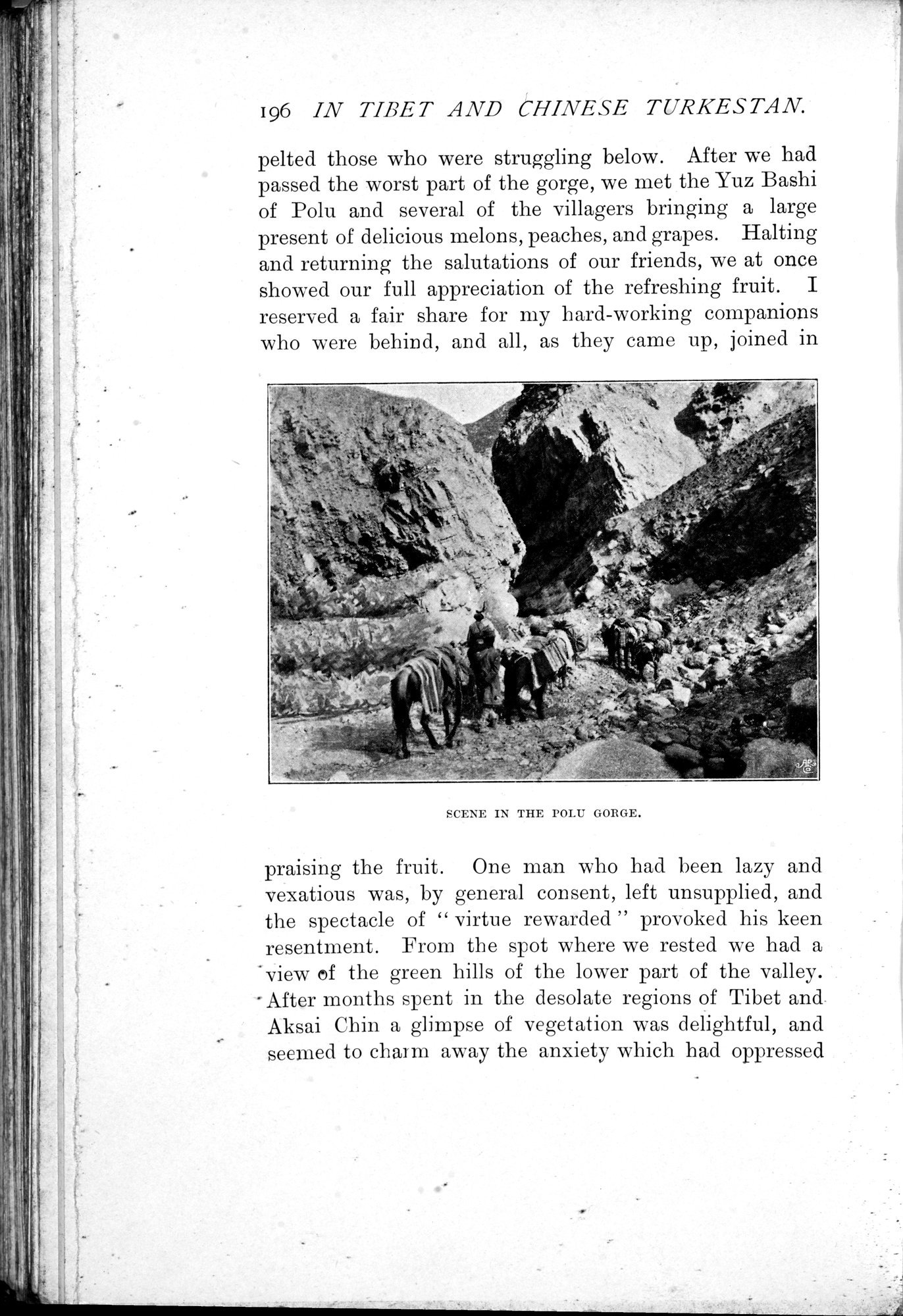 In Tibet and Chinese Turkestan : vol.1 / 232 ページ（白黒高解像度画像）