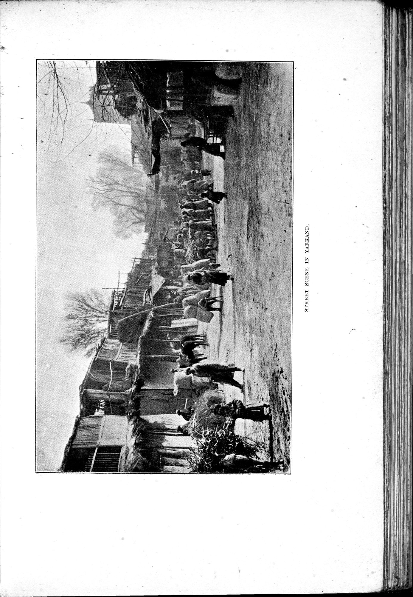 In Tibet and Chinese Turkestan : vol.1 / 243 ページ（白黒高解像度画像）