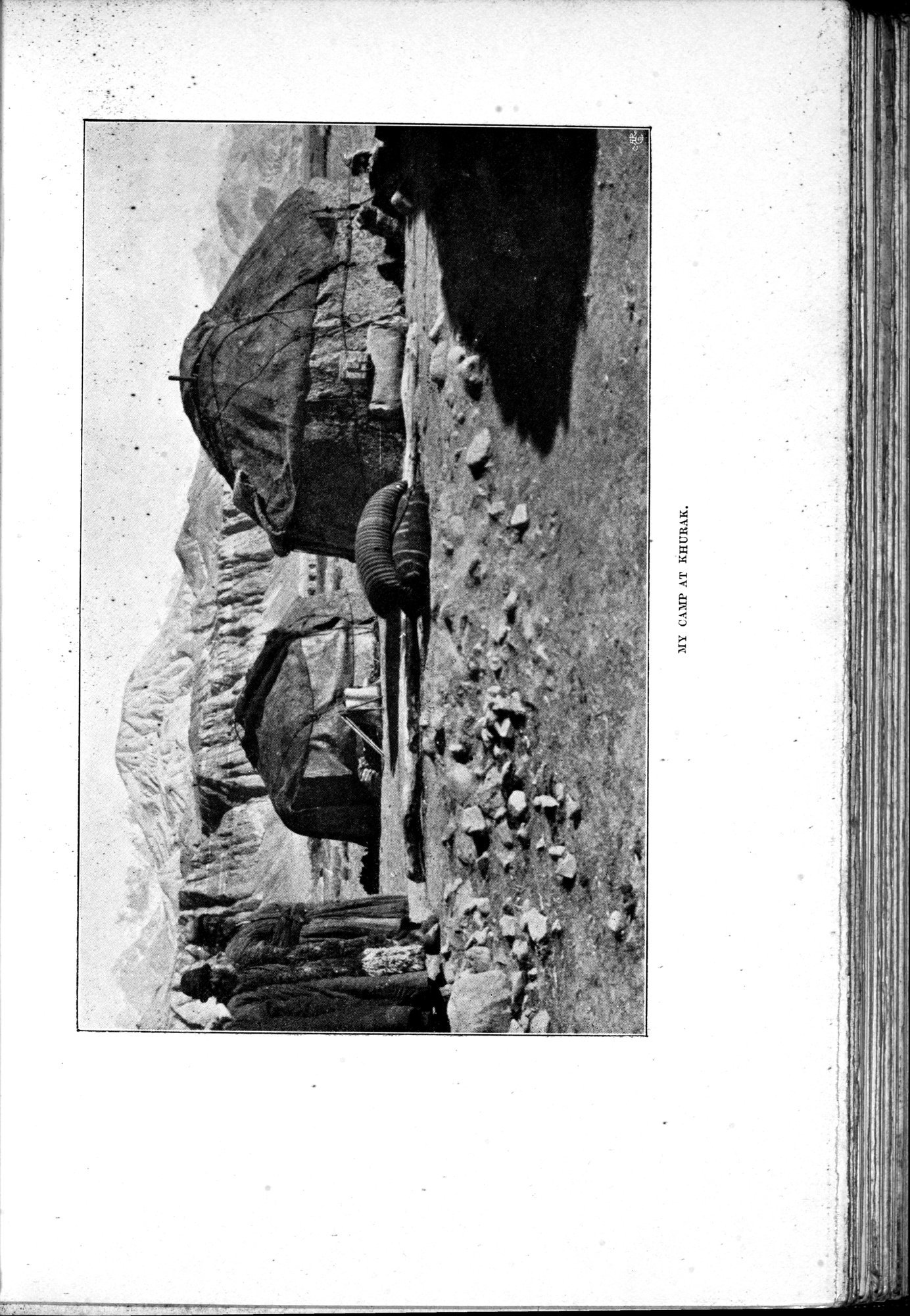 In Tibet and Chinese Turkestan : vol.1 / 251 ページ（白黒高解像度画像）