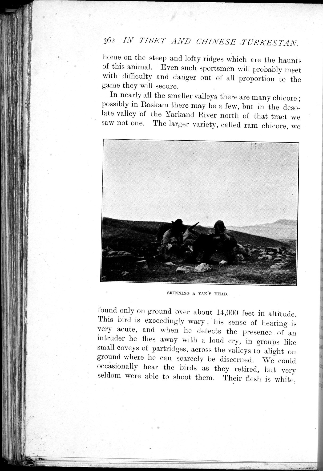 In Tibet and Chinese Turkestan : vol.1 / 402 ページ（白黒高解像度画像）