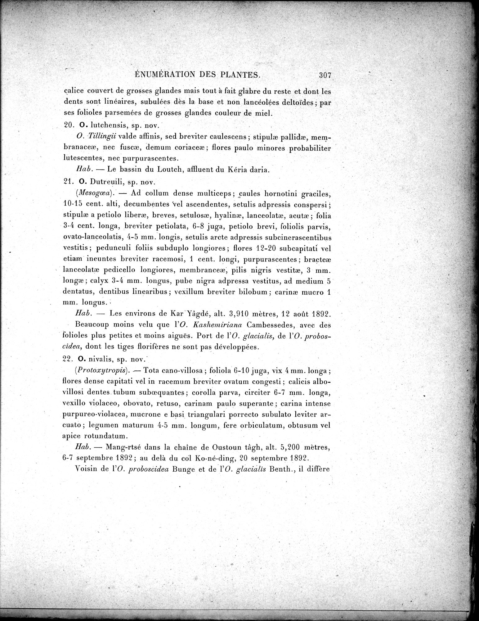 Mission Scientifique dans la Haute Asie 1890-1895 : vol.3 / Page 325 (Grayscale High Resolution Image)