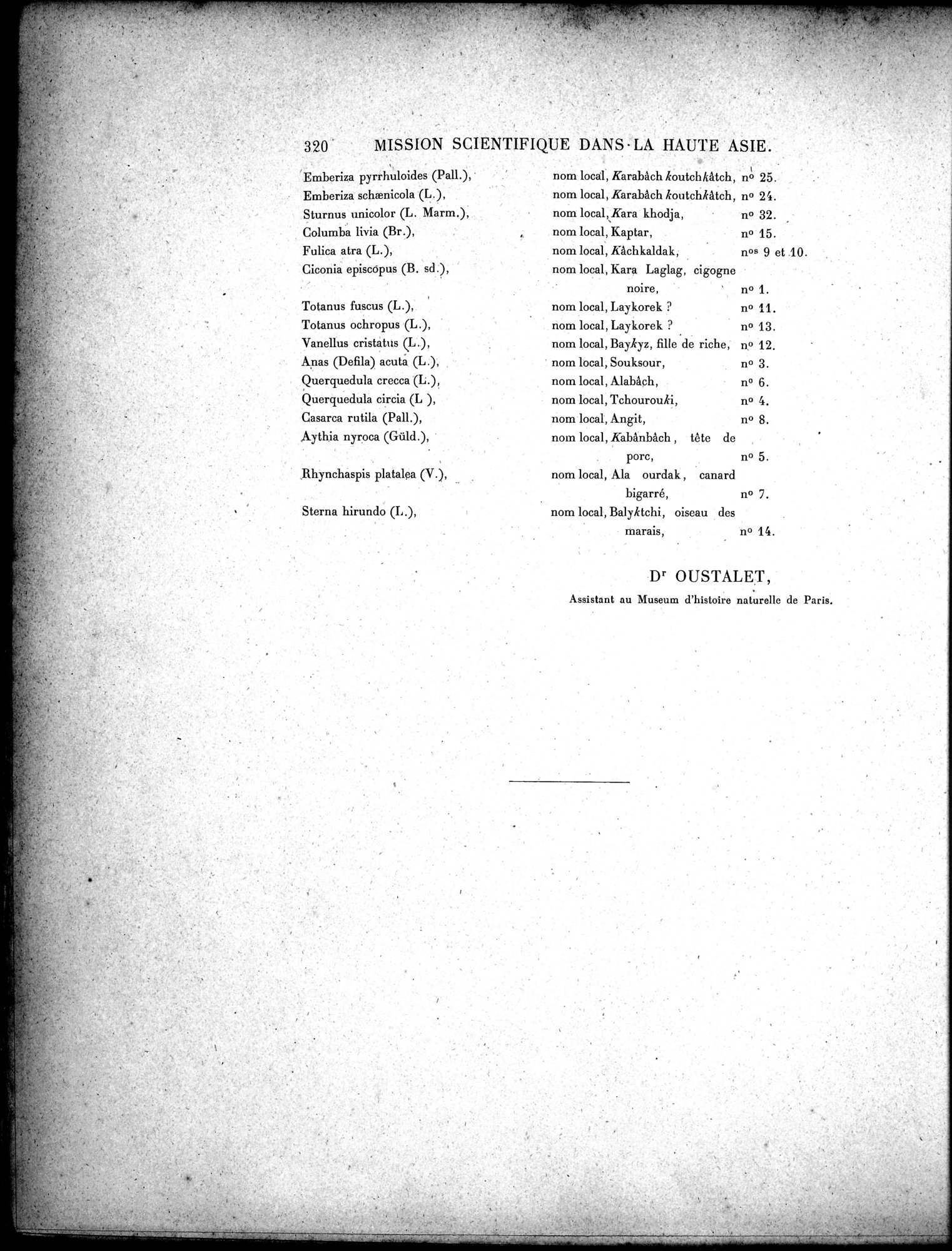 Mission Scientifique dans la Haute Asie 1890-1895 : vol.3 / Page 340 (Grayscale High Resolution Image)