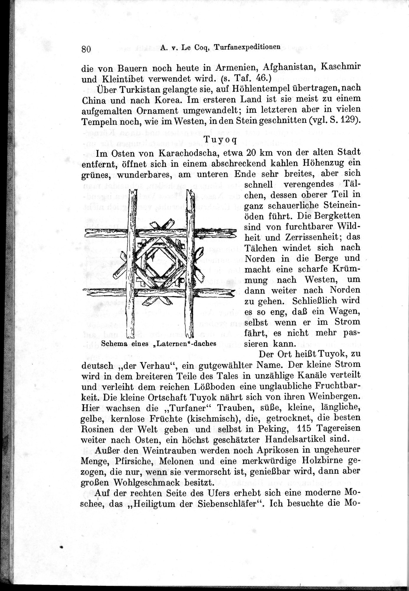 Auf Hellas Spuren in Ostturkistan : vol.1 / 118 ページ（白黒高解像度画像）