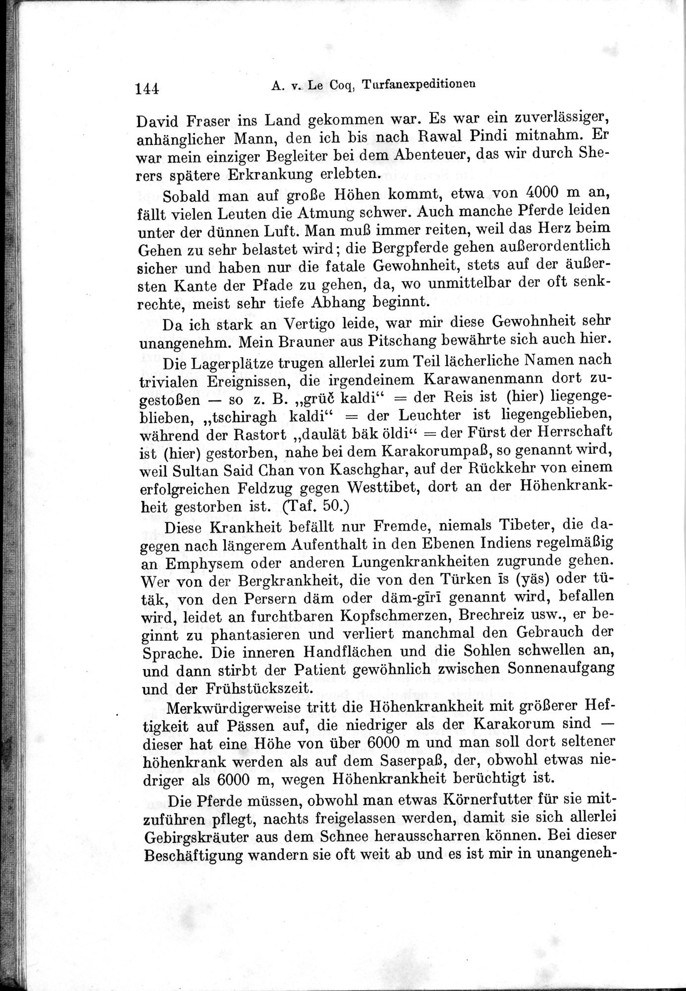 Auf Hellas Spuren in Ostturkistan : vol.1 / 206 ページ（白黒高解像度画像）