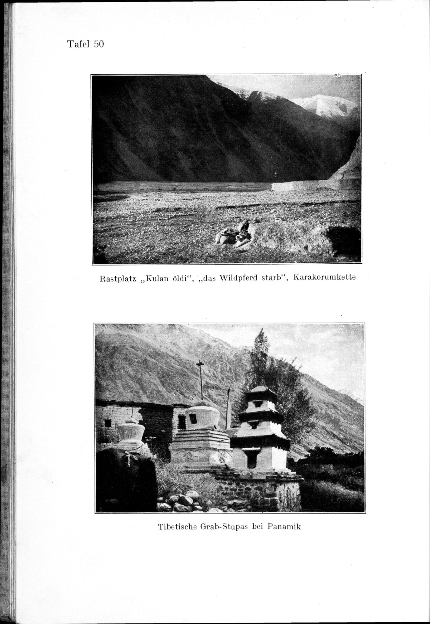 Auf Hellas Spuren in Ostturkistan : vol.1 / Page 218 (Grayscale High Resolution Image)