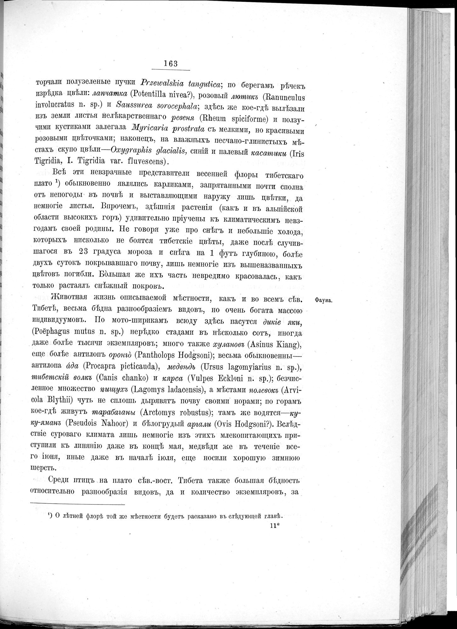 Ot Kiakhty na Istoki Zheltoi Rieki : vol.1 / 185 ページ（白黒高解像度画像）