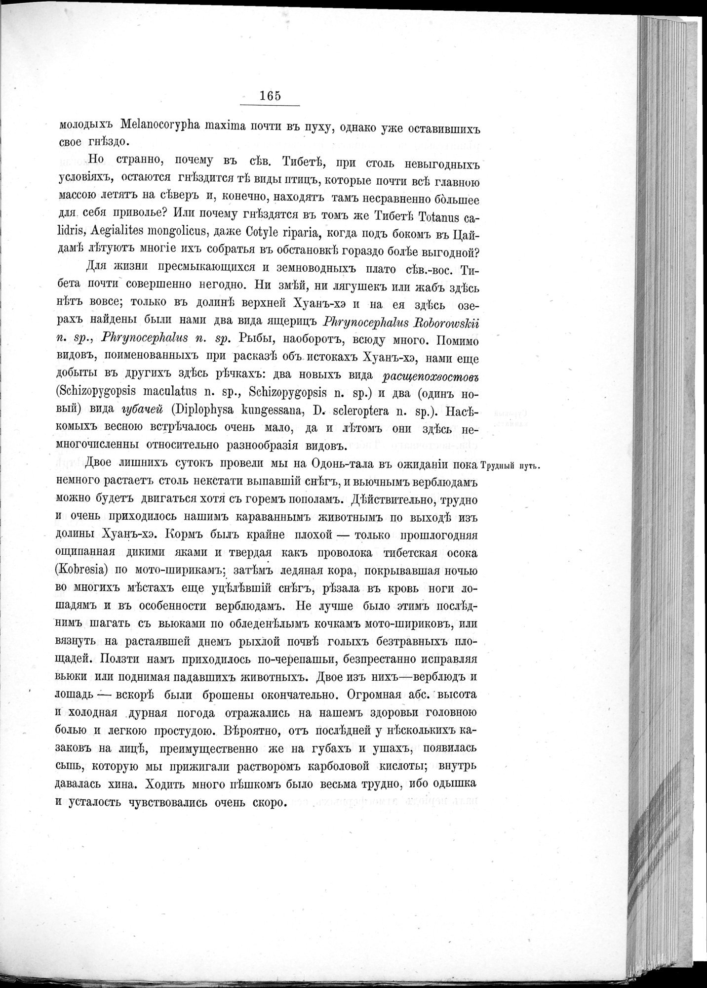 Ot Kiakhty na Istoki Zheltoi Rieki : vol.1 / 187 ページ（白黒高解像度画像）