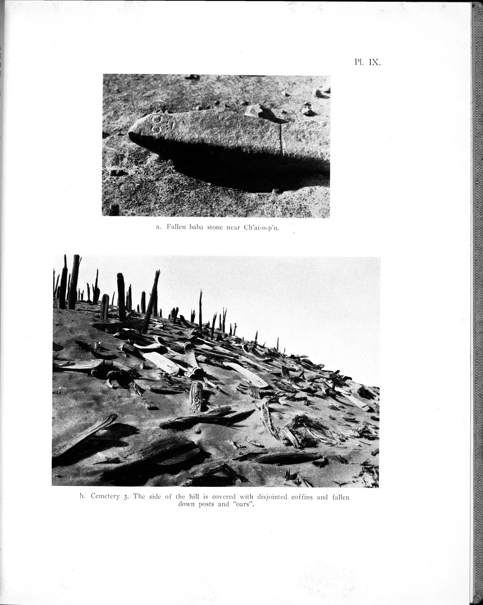 Archaeological Researches in Sinkiang : vol.1 / 107 ページ（白黒高解像度画像）