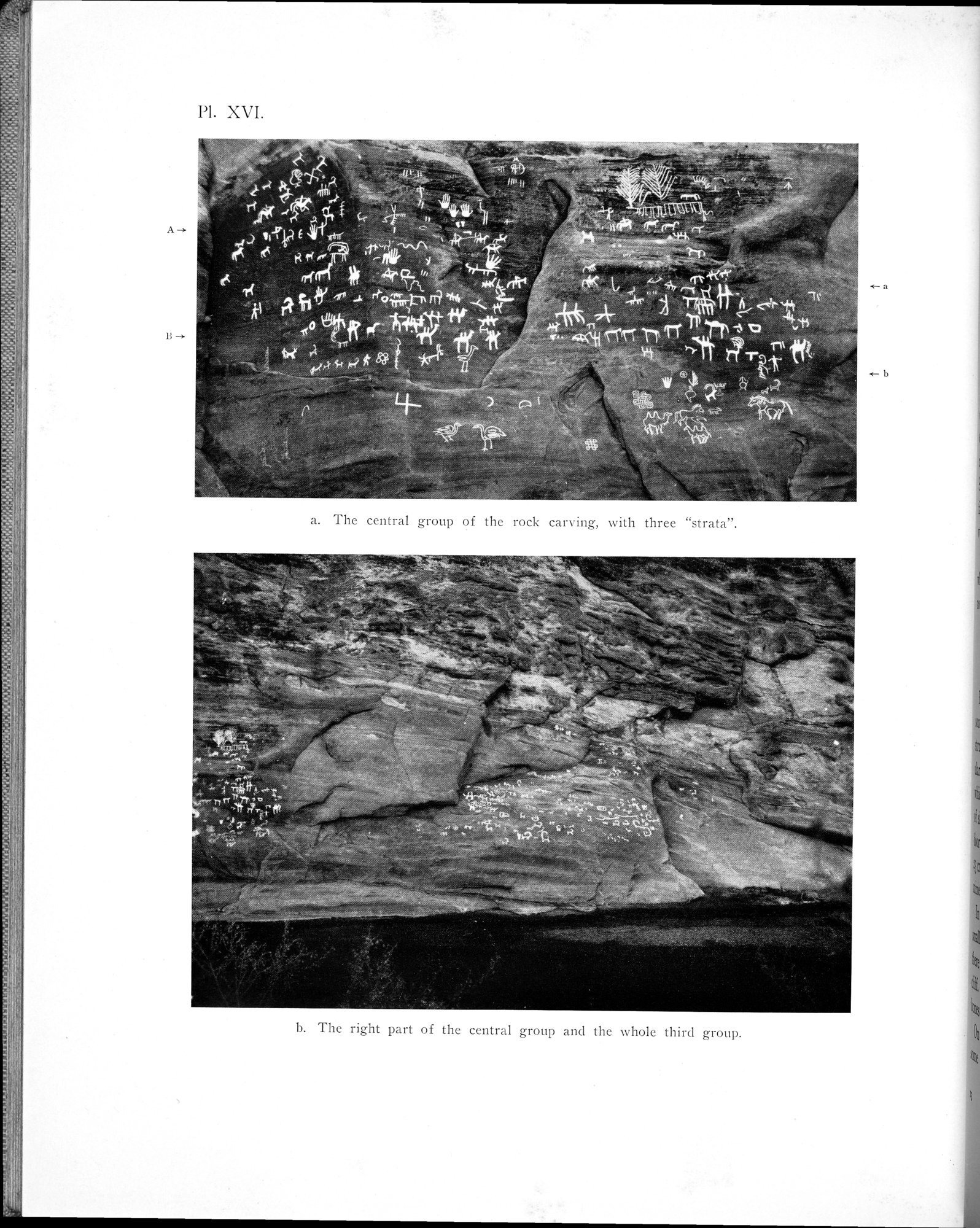 Archaeological Researches in Sinkiang : vol.1 / 214 ページ（白黒高解像度画像）