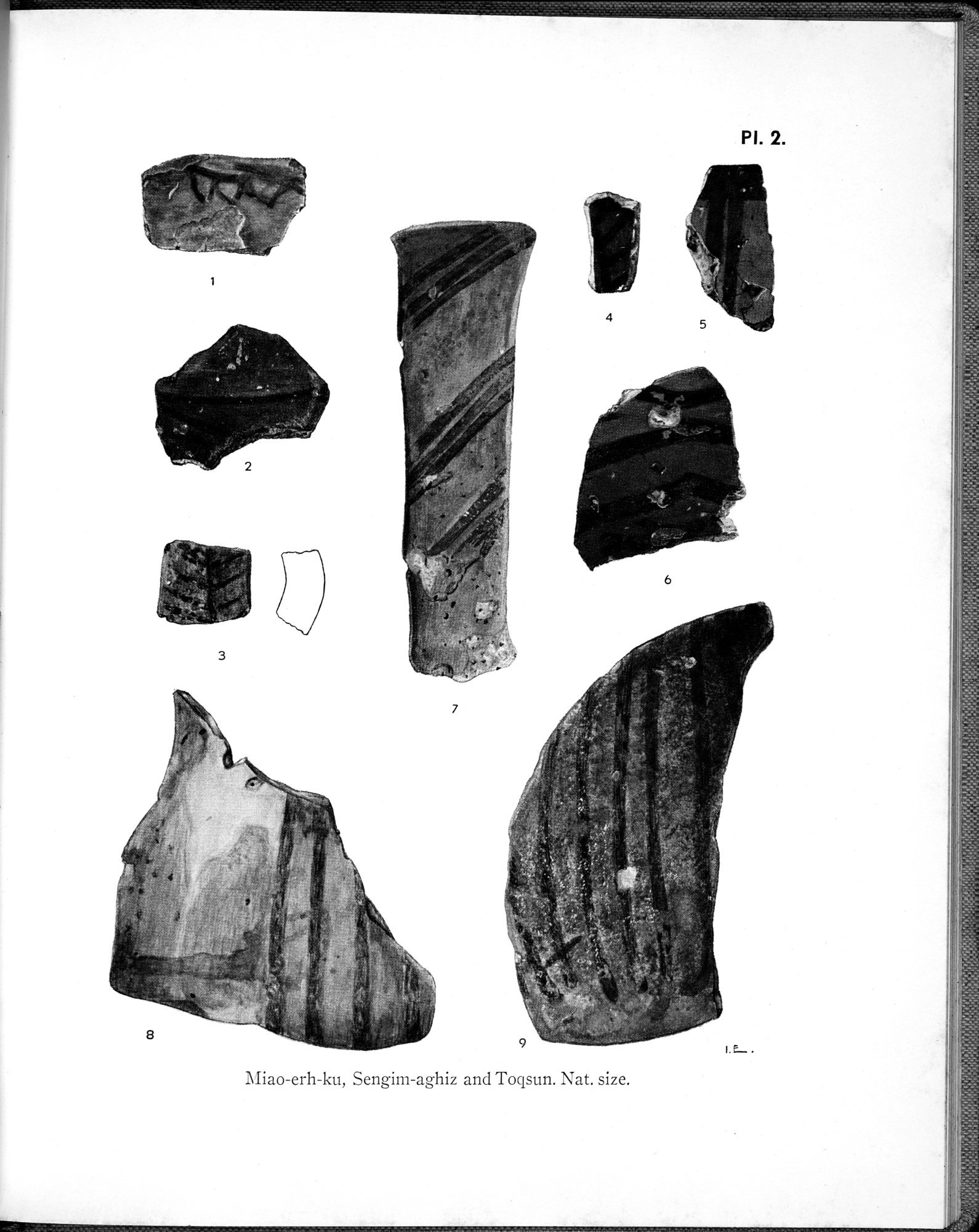 Archaeological Researches in Sinkiang : vol.1 / 289 ページ（白黒高解像度画像）