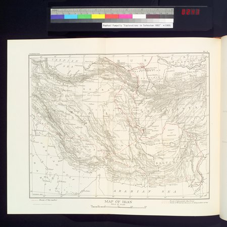 Explorations in Turkestan 1903 : vol.1 : Page 248