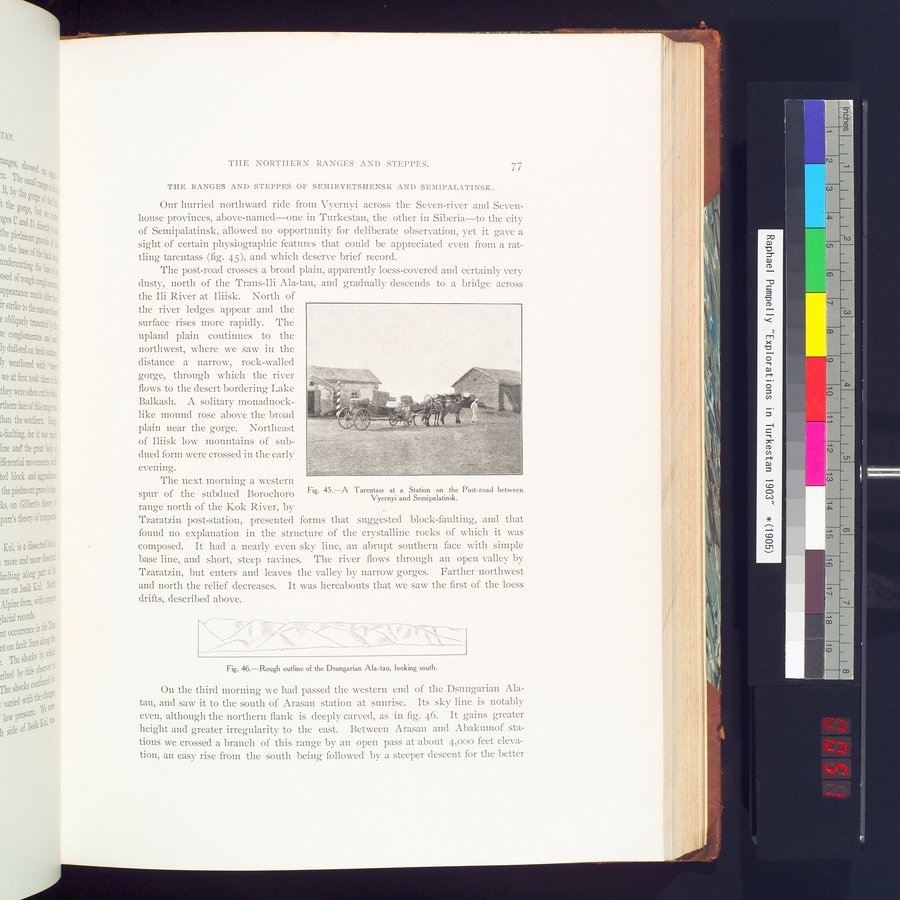 Explorations in Turkestan 1903 : vol.1 / 101 ページ（カラー画像）