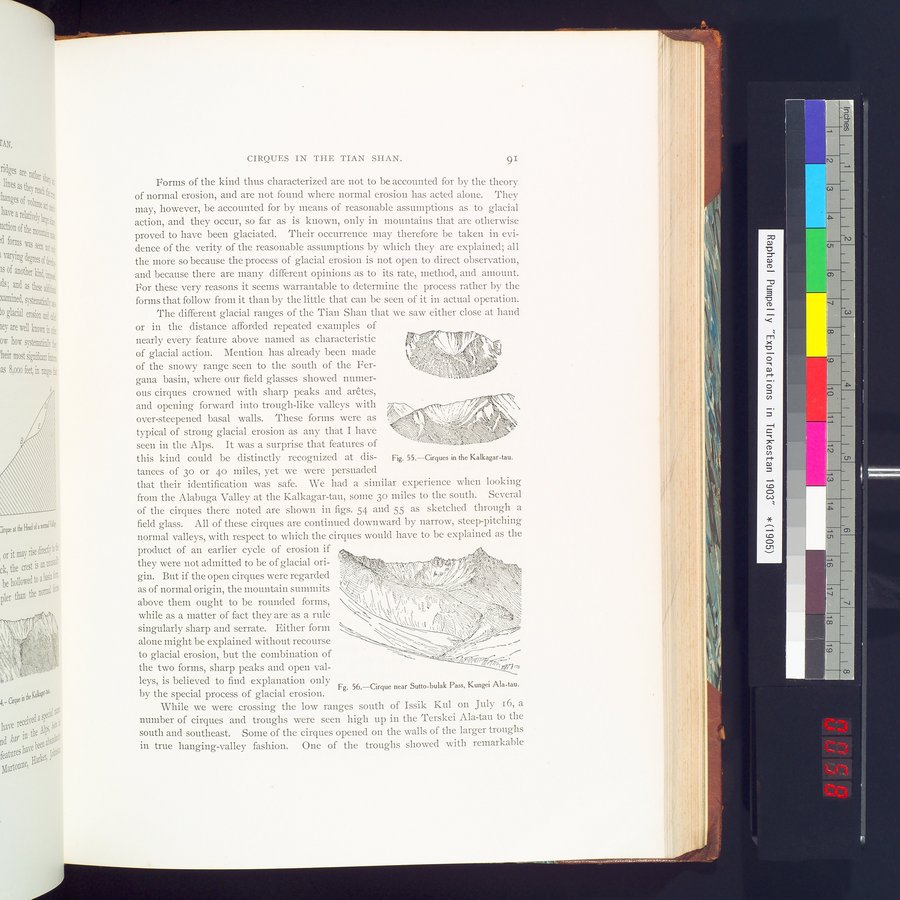 Explorations in Turkestan 1903 : vol.1 / 115 ページ（カラー画像）