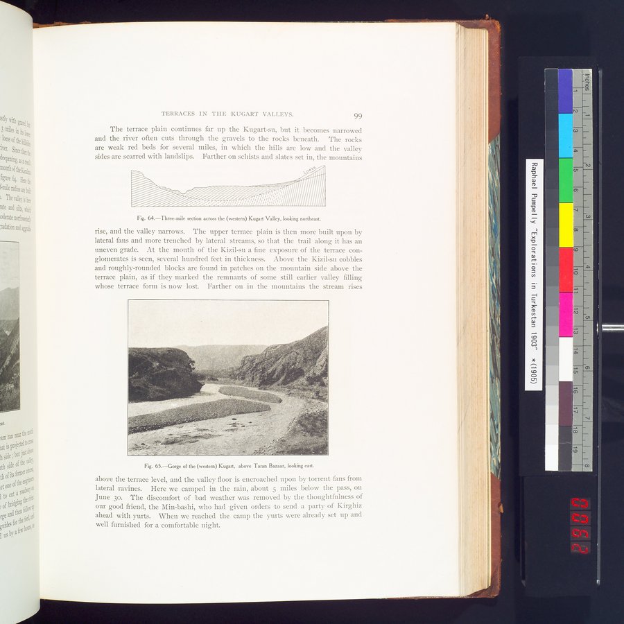 Explorations in Turkestan 1903 : vol.1 / 123 ページ（カラー画像）