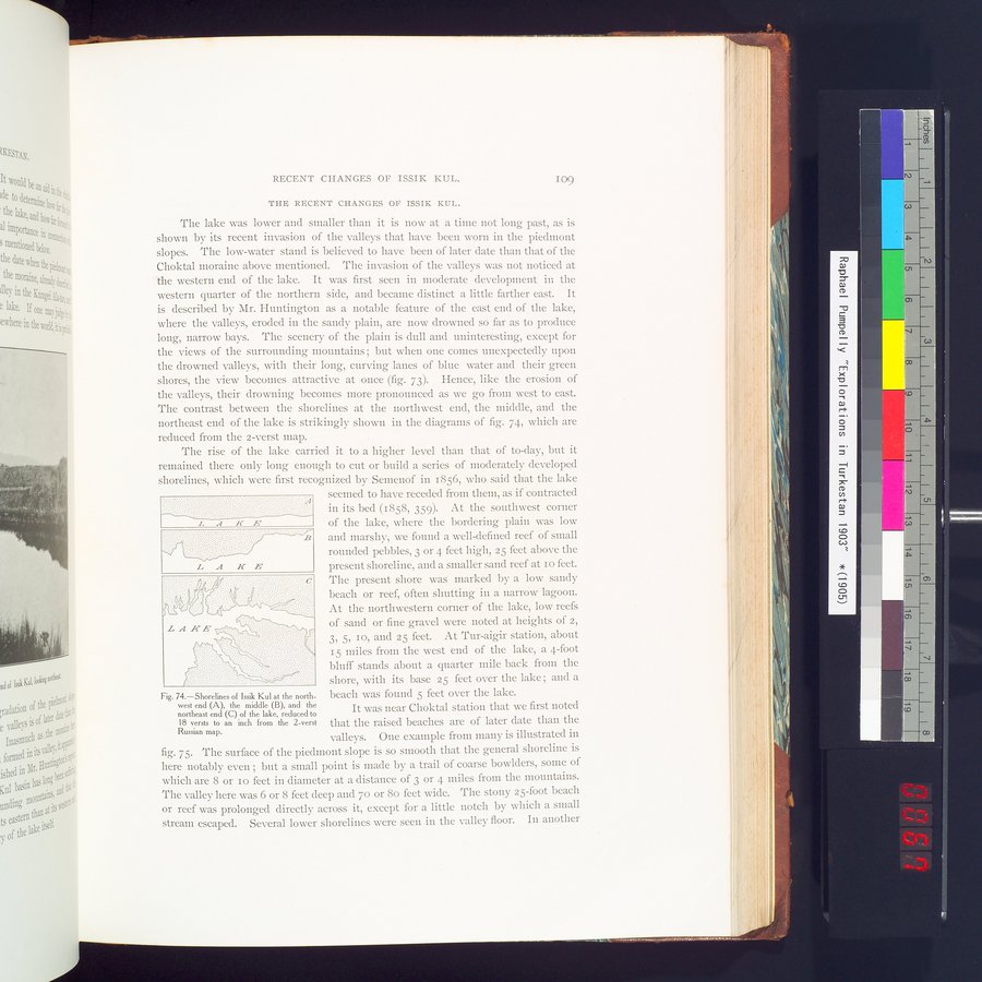 Explorations in Turkestan 1903 : vol.1 / 133 ページ（カラー画像）