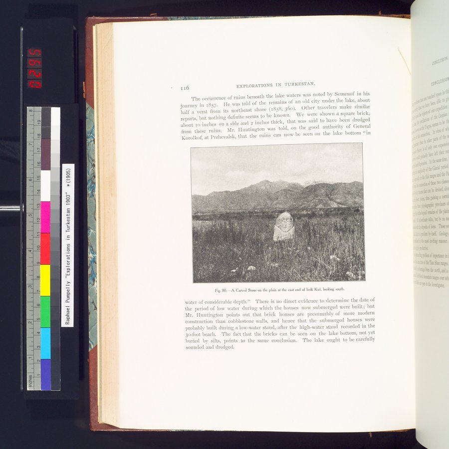 Explorations in Turkestan 1903 : vol.1 / 140 ページ（カラー画像）