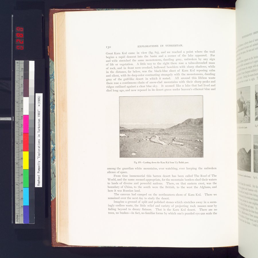Explorations in Turkestan 1903 : vol.1 / 154 ページ（カラー画像）