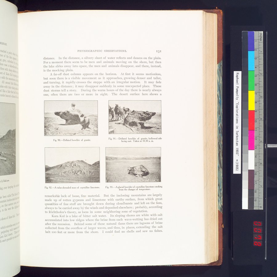 Explorations in Turkestan 1903 : vol.1 / 155 ページ（カラー画像）