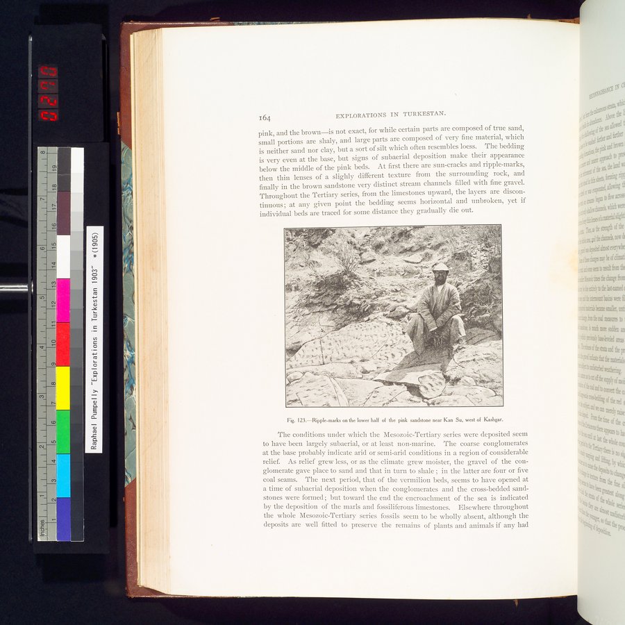 Explorations in Turkestan 1903 : vol.1 / 194 ページ（カラー画像）