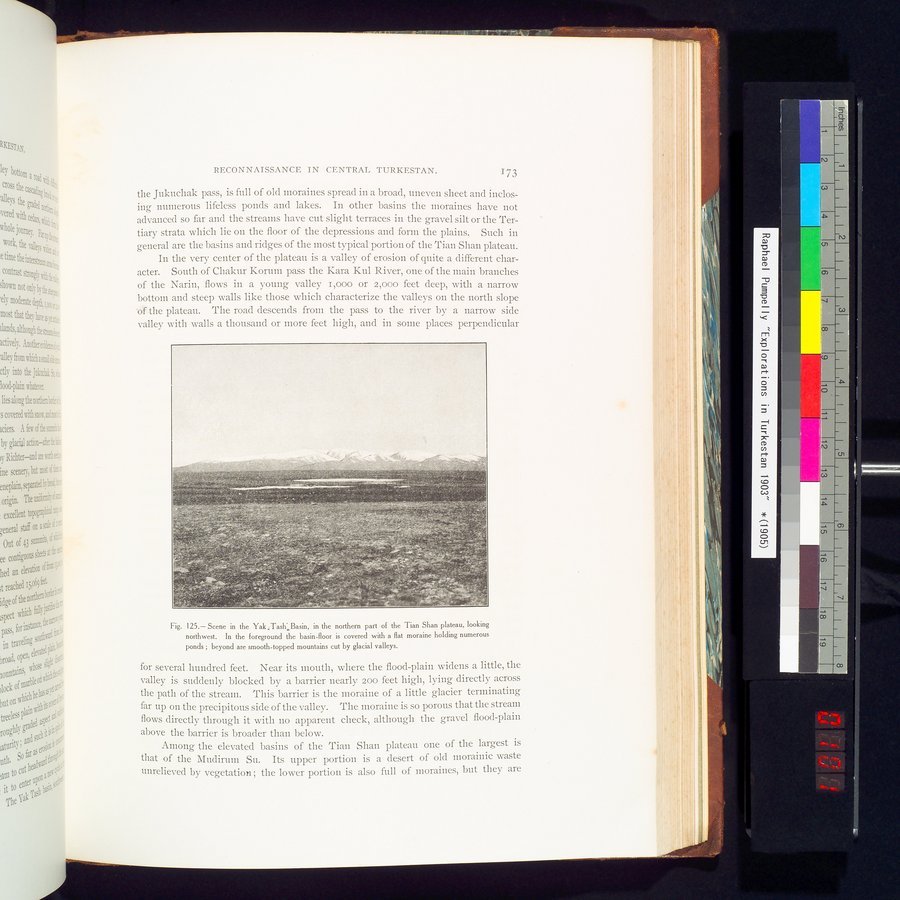 Explorations in Turkestan 1903 : vol.1 / 203 ページ（カラー画像）