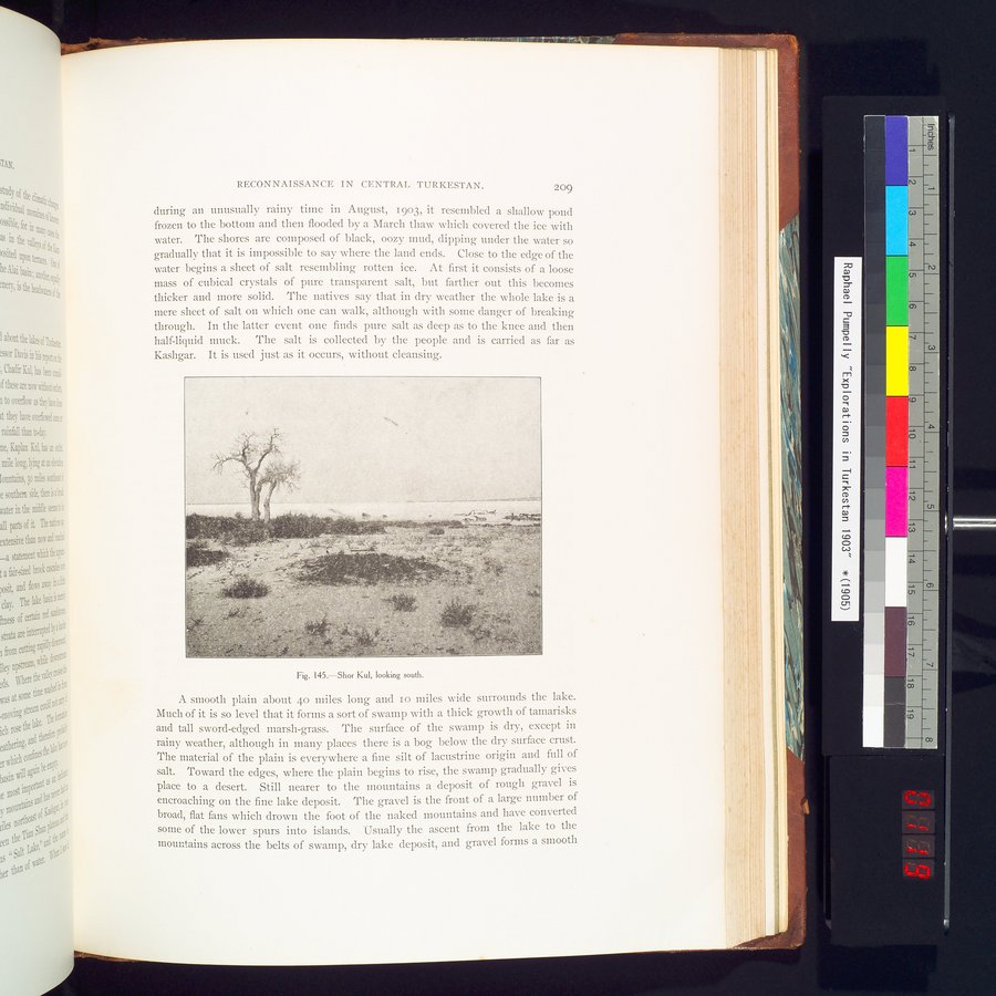 Explorations in Turkestan 1903 : vol.1 / 239 ページ（カラー画像）