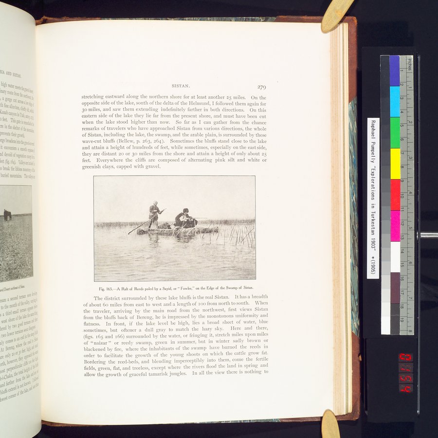 Explorations in Turkestan 1903 : vol.1 / 311 ページ（カラー画像）