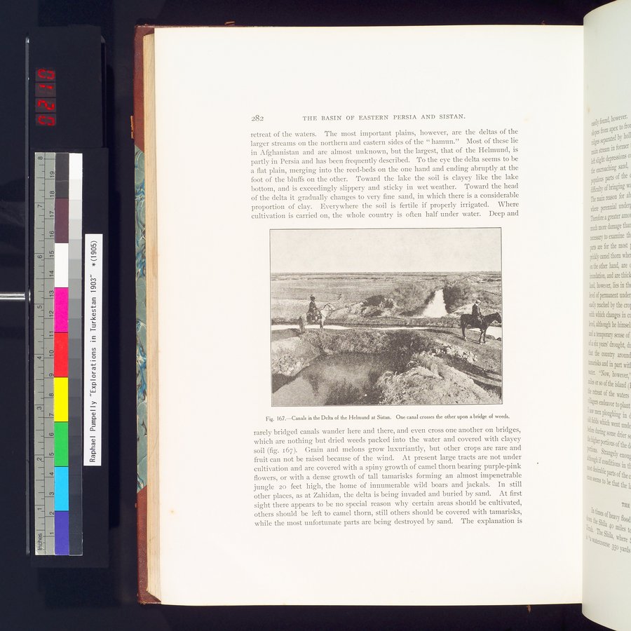 Explorations in Turkestan 1903 : vol.1 / 314 ページ（カラー画像）