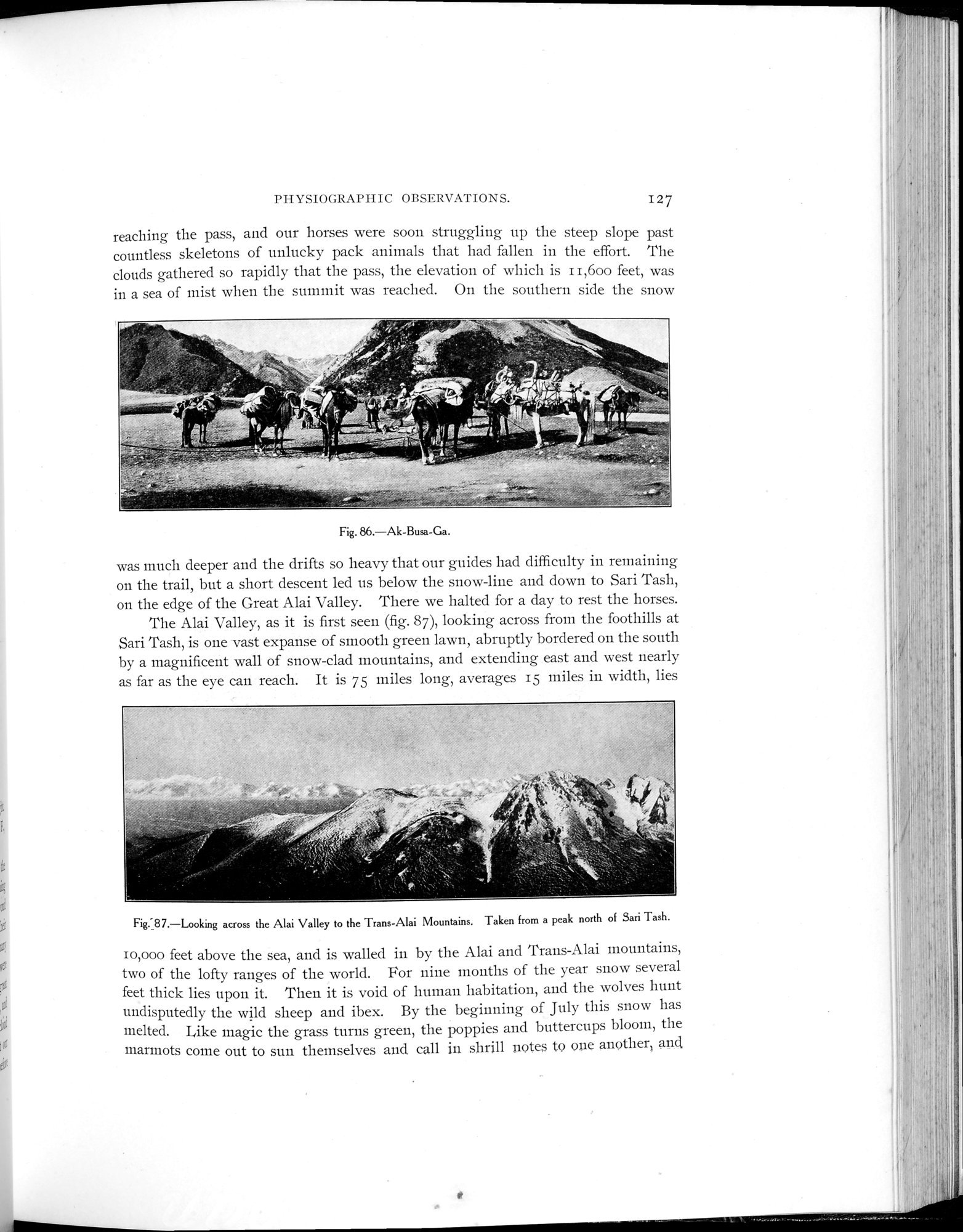 Explorations in Turkestan 1903 : vol.1 / 151 ページ（白黒高解像度画像）