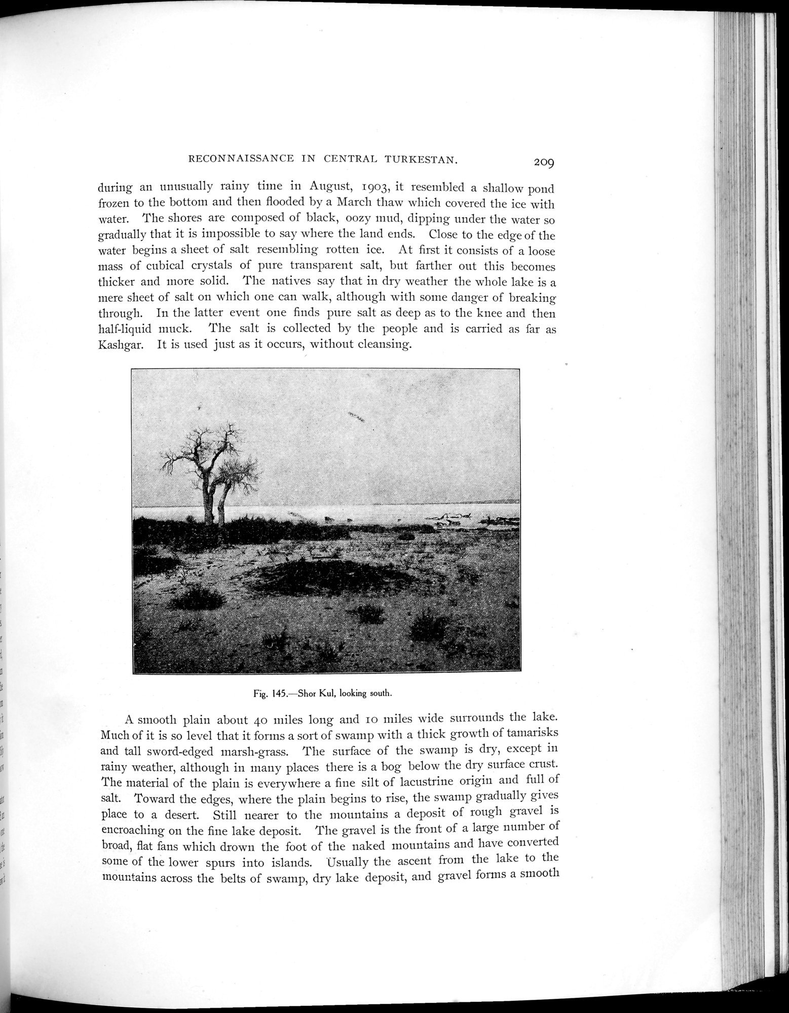 Explorations in Turkestan 1903 : vol.1 / 239 ページ（白黒高解像度画像）
