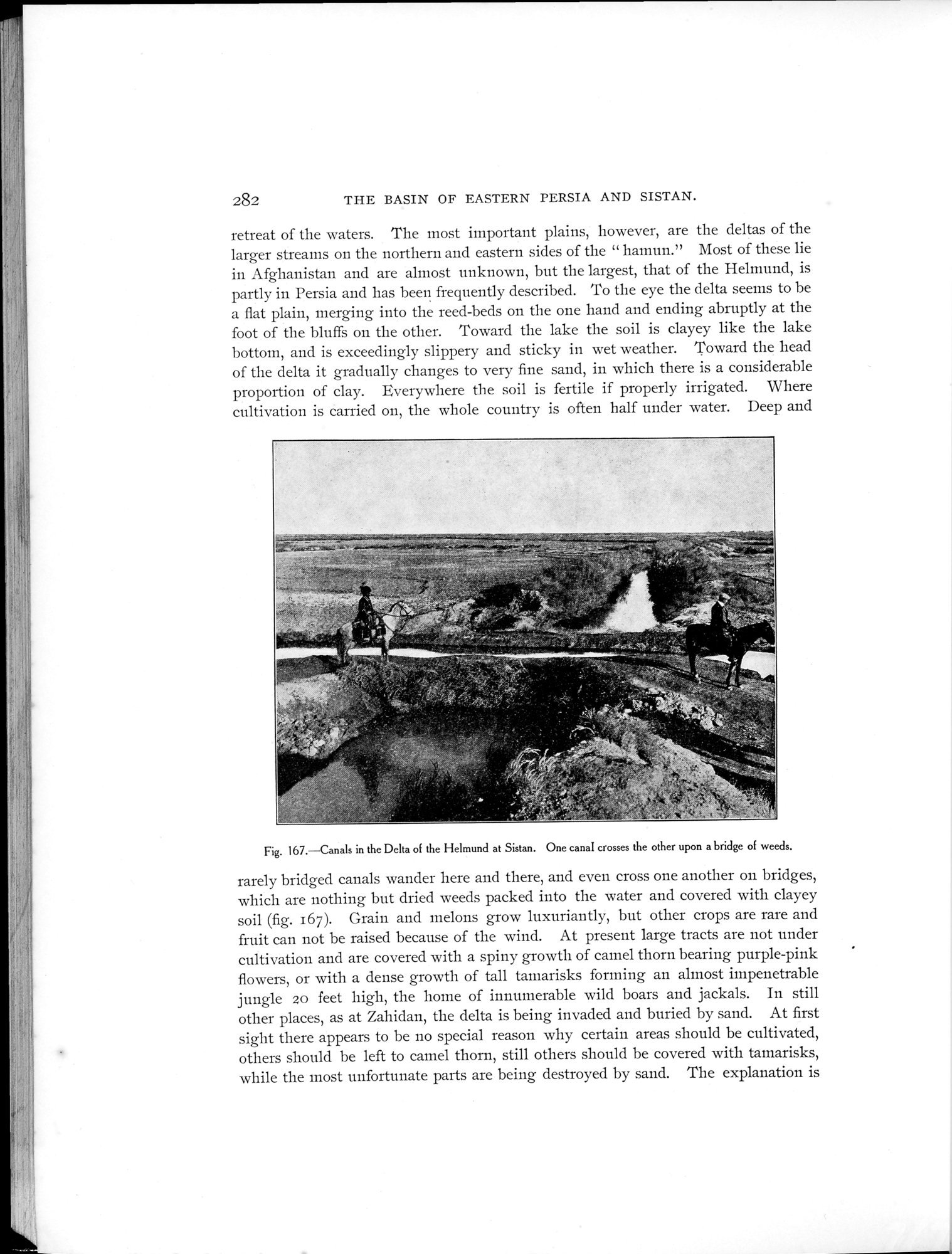 Explorations in Turkestan 1903 : vol.1 / 314 ページ（白黒高解像度画像）