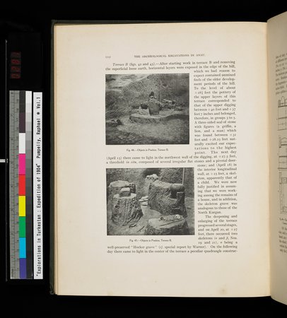 Explorations in Turkestan : Expedition of 1904 : vol.1 : Page 176