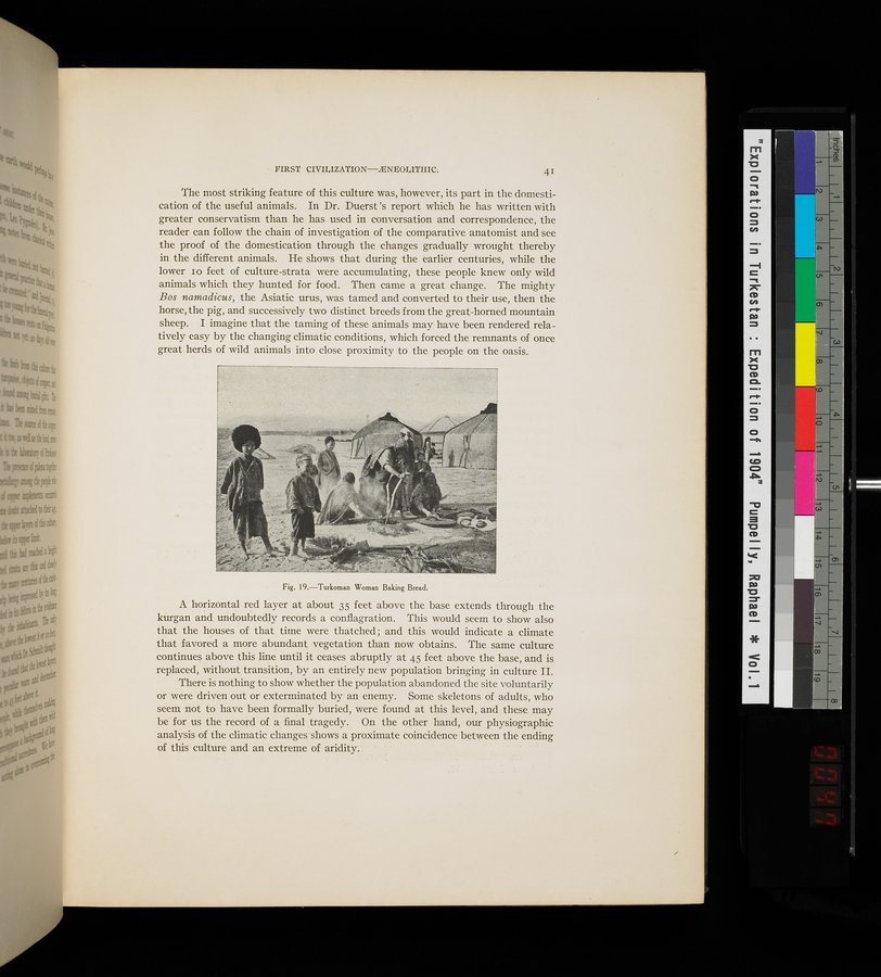 Explorations in Turkestan : Expedition of 1904 : vol.1 / 93 ページ（カラー画像）