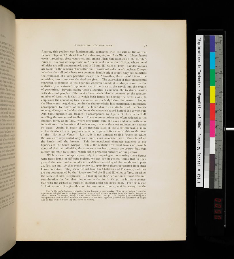 Explorations in Turkestan : Expedition of 1904 : vol.1 / Page 99 (Color Image)